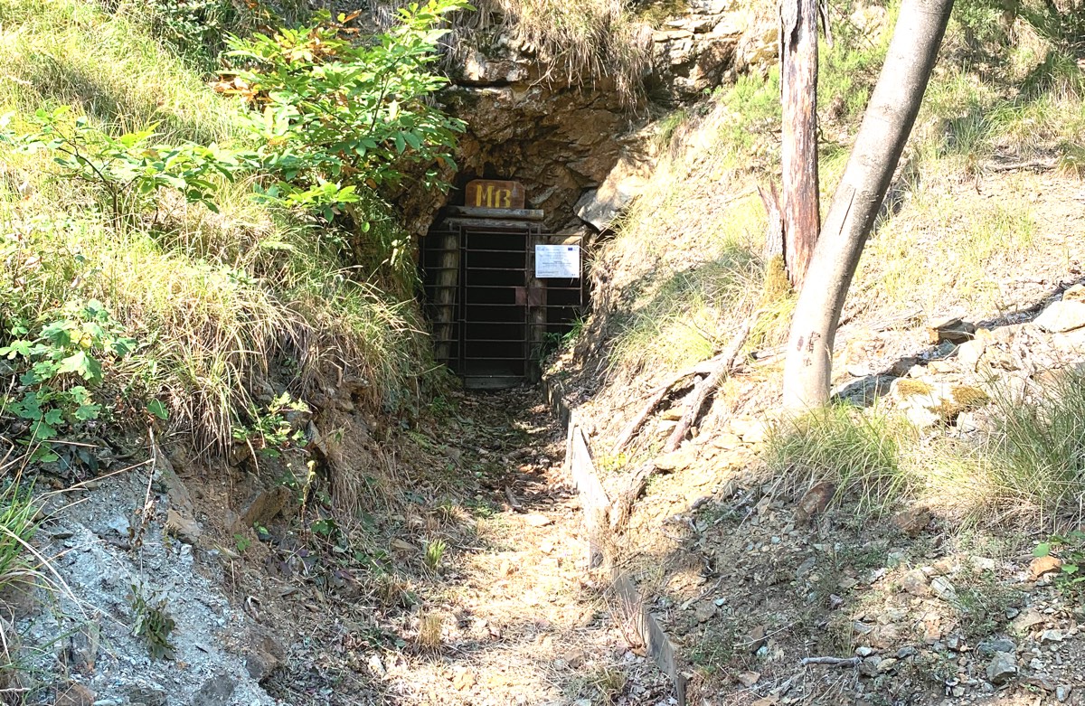 Alla ricerca del Meta Menardi, dell’oro e del geotritone nelle antiche miniere della Lavagnina